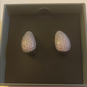 Elegant Silver Crystal Earrings